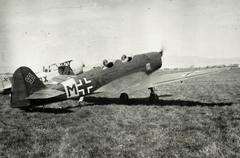 1940, Ladinek Viktor, repülőgép, horogkereszt, Luftwaffe, felségjelzés, Fortepan #129999