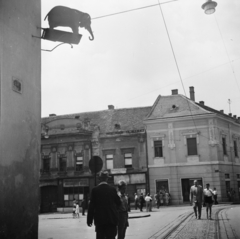 Magyarország, Pécs, Jókai tér, balra az Elefántos ház, jobbra a villamosvágány a Ferencesek utcája (Sallai utca) felé vezet., 1958, Lossonczy Miklós, cégér, képarány: négyzetes, Fortepan #130048