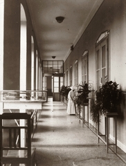 Magyarország, Pécs, Rákóczi út 2. a Magyar Királyi Erzsébet Tudományegyetem Klinikájának folyosója (később Pécsi Tudományegyetem Klinikai Központ)., 1928, POTE, gyógyintézmény, apáca, virág, mérleg, Fortepan #130222