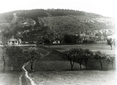 Hungary, Budapest III., kilátás a Szépvölgyi út felől a Mátyás-hegy felé, középen keresztben a Csatárka utca, jobb szélen a Virág Benedek utca., 1915, Jánossy Virág, Háberl Aladár, Budapest, Fortepan #130375