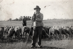 Magyarország, Mezőtúr, 1936, Szilágyi Marianna, juh, pásztor, Fortepan #130440