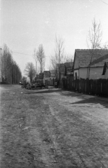 Magyarország, 1971, Vizsnyiczai Erzsébet, Fortepan #130498