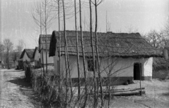 Hungary, 1973, Vizsnyiczai Erzsébet, thatch roof, Fortepan #130611