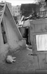 Hungary, Salgótarján, Pécskő út, a pécskődombi (kopaszdombi) cigánytelep., 1974, Vizsnyiczai Erzsébet, gypsy, building, poverty, Fortepan #130633