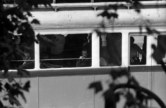 1975, Vizsnyiczai Erzsébet, tram, window, passenger, Fortepan #130667