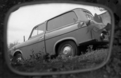 1975, Vizsnyiczai Erzsébet, Trabant-brand, reflection, hubcap, Fortepan #130670