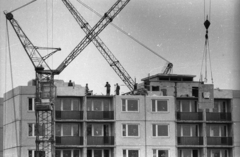 Hungary, Dunaújváros, Római városrész, a Váci Mihály utca 2. számú ház építése., 1973, Vizsnyiczai Erzsébet, construction, concrete block of flats, tower crane, Fortepan #130699