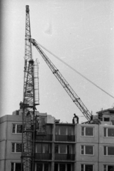 Hungary, Dunaújváros, Római városrész, a Váci Mihály utca 2. számú ház építése., 1973, Vizsnyiczai Erzsébet, construction, concrete block of flats, tower crane, Fortepan #130700