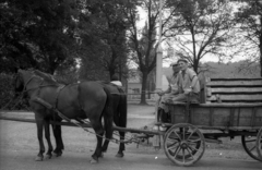 Hungary, 1973, Vizsnyiczai Erzsébet, Horse-drawn carriage, Fortepan #130753