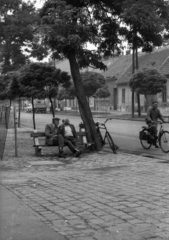 Hungary, 1973, Vizsnyiczai Erzsébet, Fortepan #130754