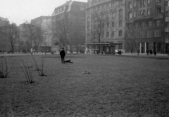 Magyarország, Budapest V., Erzsébet (Engels) tér, szemben középen a Harmincad utca - Bécsi utca sarok., 1972, Bokor András, kutya, Budapest, kutyasétáltatás, Fortepan #130849