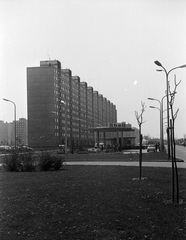 Hungary, Újpalota, Budapest XV., Nyírpalota (Hevesi Gyula) út 21., benzinkút., 1975, Gergely János, gas station, Shell-brand, Budapest, Fortepan #131055