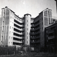 Hungary, Budapest XI., a Kosztolányi Dezső (Lenke) tér 5. számú ház udvara., 1930, Lovas Rita, Budapest, Fortepan #131122