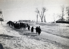 1943, Marics Zoltán, keleti front, második világháború, fogat, hó, katona, tél, Fortepan #131293