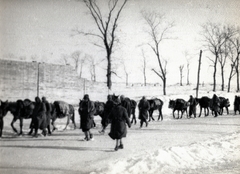 1943, Marics Zoltán, keleti front, tél, hó, második világháború, Fortepan #131301