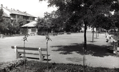 Magyarország, Budapest XIV., Rózsavölgyi tér a Rózsavölgyi köz felé nézve., 1953, Samodai József Zuglói Helytörténeti Műhely, Budapest, pad, park, tér, Fortepan #131939