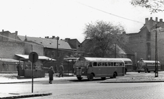 Magyarország, Budapest XIV., Hungária körút, a 31-es autóbusz-végállomása a Thököly út - Semsey Andor utca közötti szakaszon., 1955, Samodai József Zuglói Helytörténeti Műhely, autóbusz, kockakő, Ikarus 30, Budapest, autóbuszállomás, Fortepan #131972