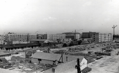 Magyarország, Budapest XIV., lakótelep építése a Róna utca - Torontál utca - Bölcsőde utca által határolt területen a Szitakötő utca felől nézve., 1957, Samodai József Zuglói Helytörténeti Műhely, Budapest, lakótelep, Fortepan #131991