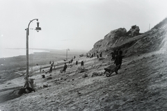 Magyarország, Balatonkenese, a löszfal megerősítésén dolgozó kubikosok a település térségében, az 1914. május 11-én történt földcsuszamlást és vasúti balesetet követően. Leltári jelzet: MMKM TFGY 2017.6.6, 1914, Magyar Műszaki és Közlekedési Múzeum / Történeti Fényképek Gyűjteménye, kubikos, Fortepan #132198