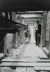 Hungary, Balatonkenese, a löszfal megerősítéséhez használt lösz és agyag kinyeréséhez épült tárna a település térségében, az 1914. május 11-én történt földcsuszamlást és vasúti balesetet követően. Leltári jelzet: MMKM TFGY 2017.6.23, 1914, Magyar Műszaki és Közlekedési Múzeum / Történeti Fényképek Gyűjteménye, Fortepan #132211