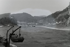 Ausztria, Sankt Nikola, Strudengau, a Duna felső-ausztriai szakasza, szemben a Giessenbach folyó torkolatánál a „Greinmühlbach-Viadukt“., 1933, Magyar Műszaki és Közlekedési Múzeum / Archívum / Negatívtár / özv Venczel Jánosné gyűjteménye, uszály, vontatóhajó, Fortepan #132319