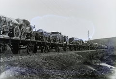 Románia,Erdély, Petrova, Leltári jelzet: 29935, 1916, Magyar Műszaki és Közlekedési Múzeum / Archívum / Negatívtár / Pölös István gyűjteménye, Czakó Ferenc, első világháború, vasúti szerelvény, szekér, Fortepan #133033