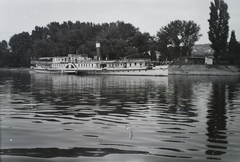 Magyarország, Esztergom, hajóállomás. A MAHART Petőfi személyszállító gőzhajója (előtte Szent László, épült: 1920. Budapest, az MFTR hajóépítő műhelyében. A hajó hossza 60 m, szélessége 15.5 m, hajógép 580 HP, utastér 1200 személy részére. Leltári jelzet: 30621, 1952, Magyar Műszaki és Közlekedési Múzeum / Archívum / Negatívtár / Szollár Ferenc gyűjteménye, gőzhajó, hajóállomás, Fortepan #133070