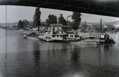 Magyarország, Óbuda, Budapest III., Óbudai Hajógyár, a Cluosuog Pirogou (épült: 1954.) oldalkerekes vontató gőzhajó a Hajógyári-öbölben az Árpád (Sztálin) híd alól nézve. Háttérben az Óbudai zsinagóga, felette a téglagyár kéménye. Leltári jelzet: 21631, 1954, Magyar Műszaki és Közlekedési Múzeum / Történeti Fényképek Gyűjteménye / Óbudai Hajógyár gyűjteménye, Budapest, gőzhajó, Fortepan #133089