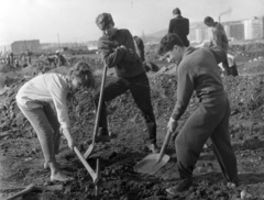 Hungary, Budapest XI., parképítés a Petőfi híd budai hídfőjétől délre (később itt az ELTE és a BME épületei állnak). Háttérben jobbra az Irinyi József utca épületei láthatók., 1959, Tőry Klára, Budapest, workout clothes, sneakers, volunteering, shovel, pickaxe, Fortepan #133421