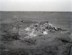 Ukrajna, lezuhant Weiss Manfréd gyártmányú WM-21 Sólyom közelfelderítő repülőgép maradványa a szovjet fronton., 1941, Varga Csaba dr., repülőgép, járműroncs, Weiss Manfréd WM-21 Sólyom, keleti front, Fortepan #133481