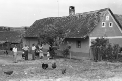 1957, Chuckyeager tumblr, family, village, poultry, Fortepan #133691