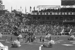 Hungary, Népstadion, Budapest XIV., Színészek-Újságírók Rangadó (SZÚR)., 1969, Chuckyeager tumblr, Budapest, Fortepan #133735