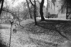 Magyarország, Városliget, Budapest XIV., Vajdahunyad vára, a Magyar Mezőgazdasági Múzeum épületrésze., 1960, Chuckyeager tumblr, Budapest, ősz, fény-árnyék, Fortepan #133768