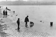 Hungary, Budapest V., pesti alsó rakpart a Zoltán (Beloiannisz) utca torkolatánál, háttérben a budai Vár., 1965, Chuckyeager tumblr, flood, shore, Budapest, walking the dog, Fortepan #133889