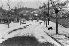 1957, Chuckyeager tumblr, snowy landscape, Fortepan #133973