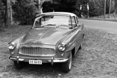 1966, Chuckyeager tumblr, Skoda-márka, rendszám, Skoda Felicia, Fortepan #134077