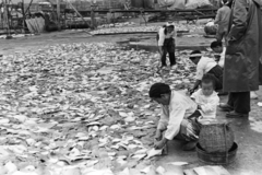 Democratic People's Republic of Korea, 1957, Chuckyeager tumblr, dried fish, kid, mother, basket, Fortepan #134080