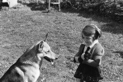 1957, Chuckyeager tumblr, dog, cat, kid, German shepherd, Fortepan #134118