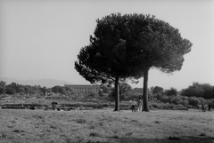 Olaszország, Capaccio, Paestum romváros, a távolban Poszeidón temploma., 1971, Chuckyeager tumblr, Fortepan #134251