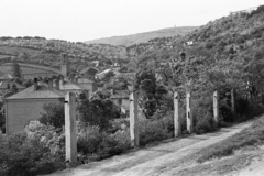 Hungary, Pécs, Mecsekoldal, kilátás a Szőlő utcából a pálos templom és a Kis-tubes kilátó felé., 1957, Chuckyeager tumblr, picture, valley, Fortepan #134261