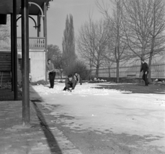 Magyarország, Nagymaros, Duna utca 2., a Budapesti Műszaki Egyetem üdülője., 1971, Bercsényi Kollégium Fotókör, hó, hógolyó, Fortepan #134399