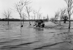 1970, Csíkos Ferenc, flood, automobile, Fortepan #134502