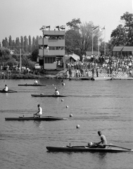 Magyarország, Szolnok, Holt-Tiszai Vízisport Telep., 1971, Csíkos Ferenc, verseny, Fortepan #134511