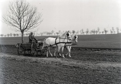 Magyarország, Bóly, (Németbóly), a település és Békáspuszta közötti gazdasági vasútvonalon készült a felvétel., 1940, Fortepan/Album018, fa, szekér, Fortepan #134634