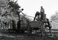 1940, Fortepan/Album018, szekér, halászat, hal, merítőháló, Fortepan #134668