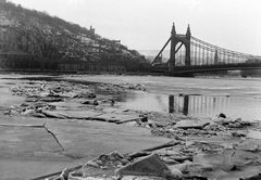 Magyarország, Budapest V.,Budapest I., jégzajlás a Dunán árvíz idején, a pesti alsó rakpartról nézve. Háttérben a Gellért-hegy és az Erzsébet híd., 1941, Fortepan/Album018, híd, jégtábla, jégzajlás, Budapest, Fortepan #134700