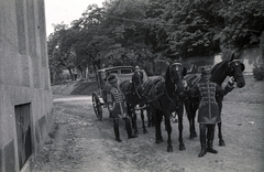 Magyarország, Eger, Czapik Gyula, az új egri érsek hintója a Főszékesegyház mellett, 1943. június 30-án. Jobbra az Érseki Palota kertjének a kőfala., 1943, Fortepan/Album021, hintó, fogat, Fortepan #134780