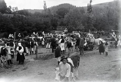 Slovakia, Vrbovce, a község főtere marhavásár alkalmával., 1920, Lőrinczi Ákos, animal fair, Fortepan #135063