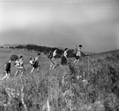 Magyarország,Dunakanyar, Visegrád, Nagyvillám, kilátás a Fellegvár felé., 1951, Fortepan/Album019, kirándulás, bricsesz, hátizsák, társaság, Fortepan #135561