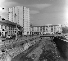 Románia,Erdély, Kovászna, előtérben a Kovászna patak, balra a Hotel Cerbul, szemben a Hotel Covasna., 1978, Sütő András örökösei, Új Élet szerkesztőség, Fortepan #135687